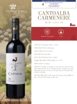 Rượu vang đỏ Cantoalba carmenere