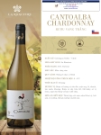 Rượu vang trắng Cantoalba chardonnay