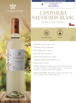 Rượu vang trắng Cantoalba Sauvignon blanc